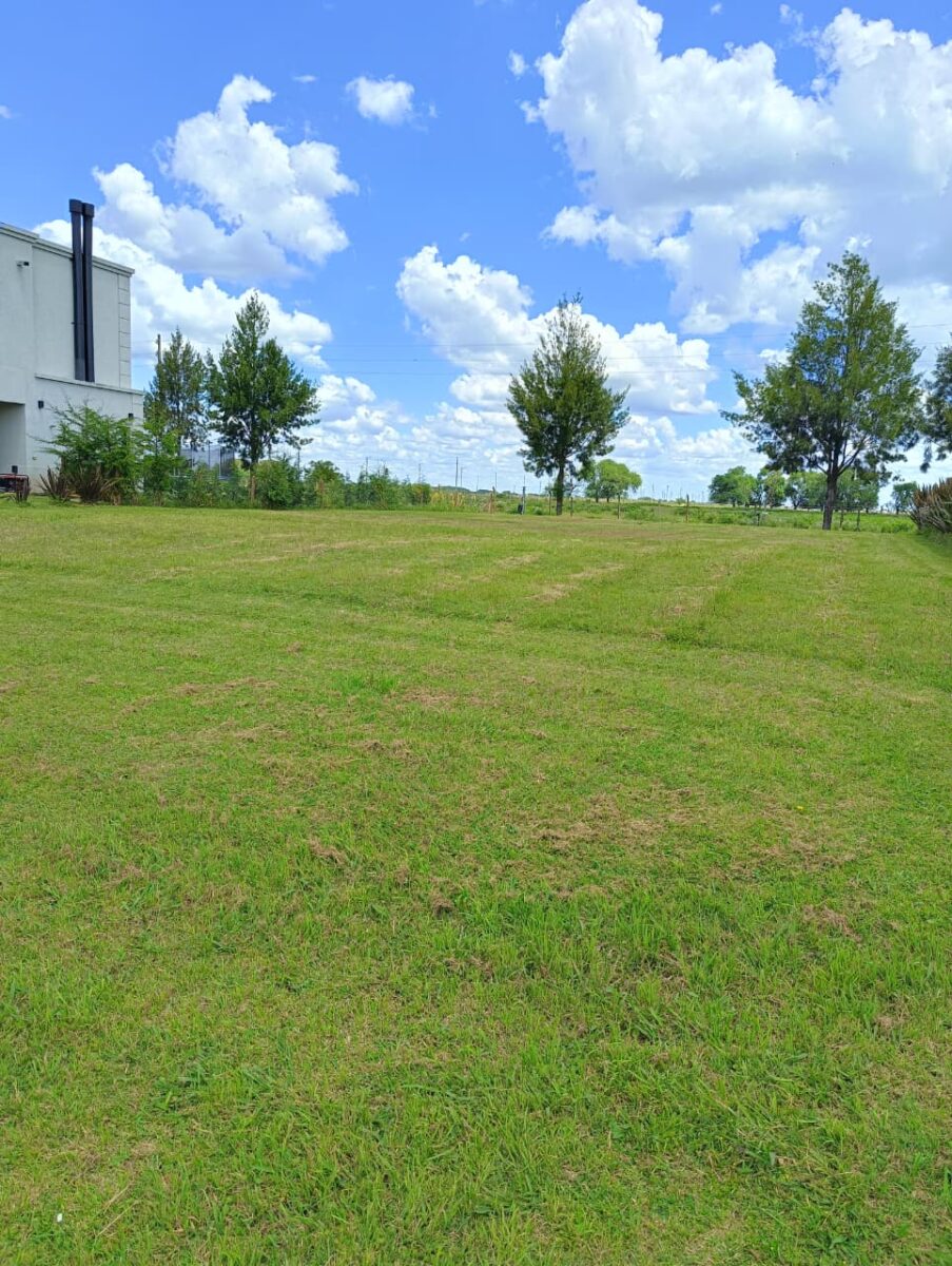 WhatsApp Image 2026-01-28 at 15.27.10 (1)