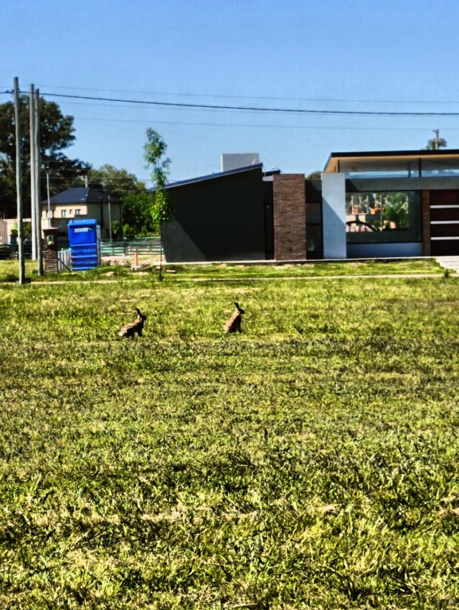 WhatsApp Image 2026-01-28 at 15.28.10